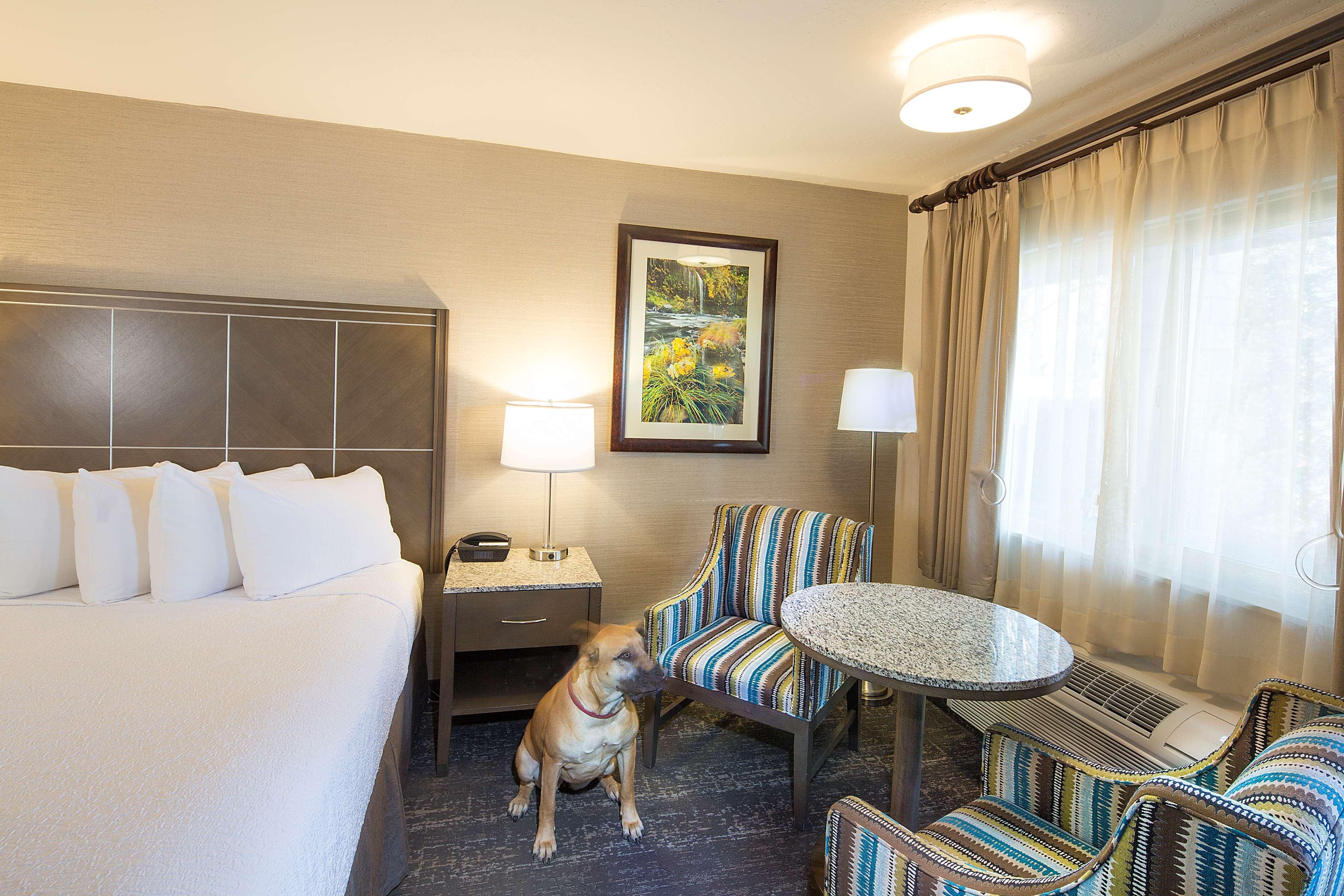 Best Western Plus Hilltop Inn Redding Eksteriør bilde